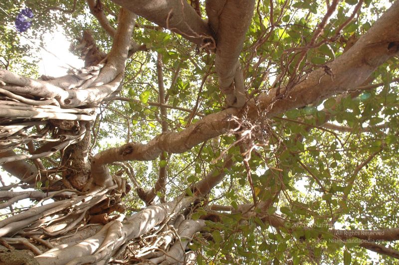 File:20061024 Photo 1044 1J9-vEwHJGYxrp0UlO aXzKMt6mwsP3wX.JPG