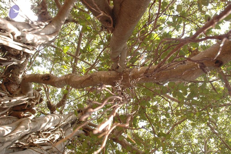 File:20061024 Photo 1045 1b4UE7XPZMowI6RlbGKjVKPqlEd4IxeXM.JPG