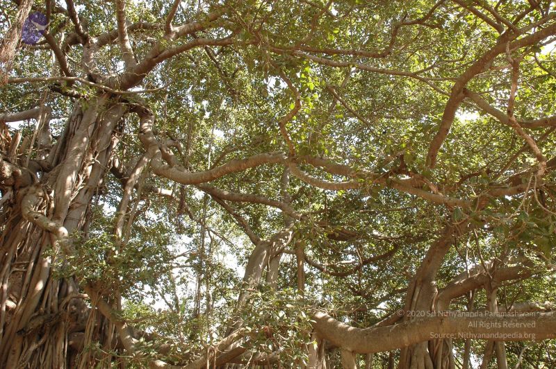 File:20061024 Photo 1052 1xp4O1JOfl QwYPAOSsximo8WMnEJMeKq.JPG