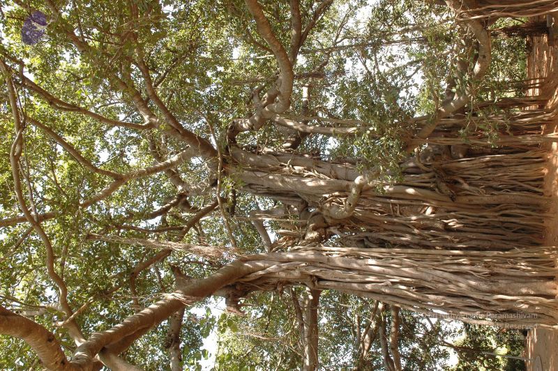 File:20061024 Photo 1053 1OisUgGkRF3ra3ABQFcGAQiZzOMLBO5yV.JPG