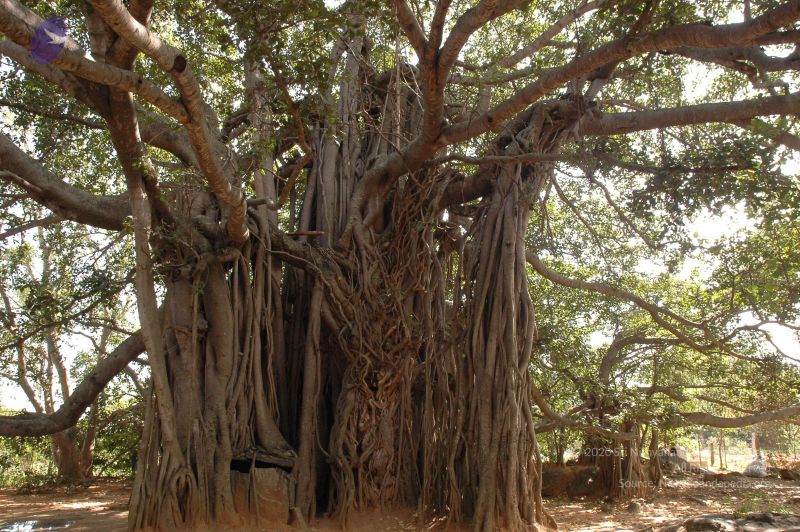 File:20061024 Photo 1057 1hm-8Ryi0YsSZZku3VrRSJaePtVxJAH5M.JPG