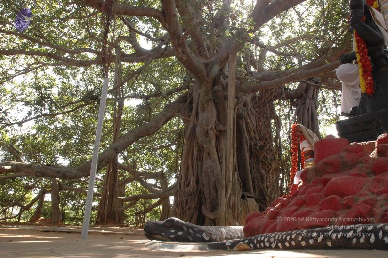 File:20061024 Photo 1058 1xTh5z8bX3cQcHrMn9Z82u4bphZlhO1XN.JPG