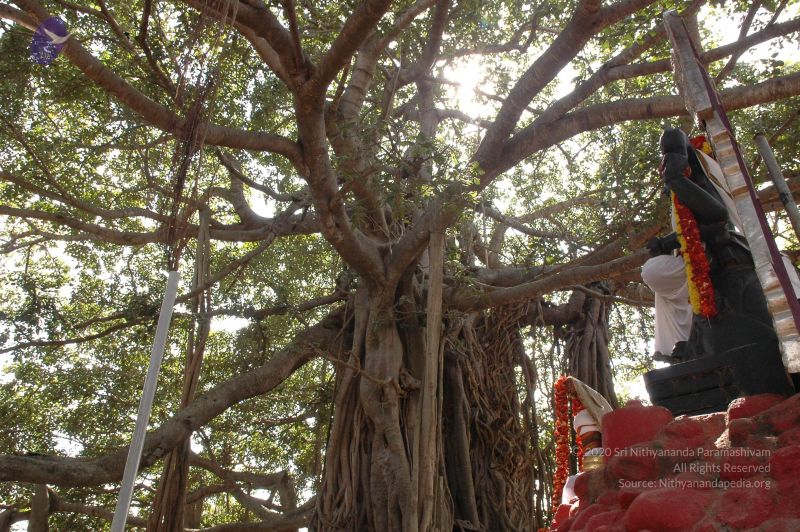 File:20061024 Photo 1060 1s8ttu7OTx4FIuQwL7WJlTBlYfD5wy3zo.JPG