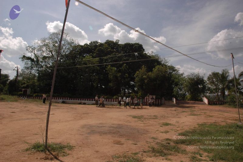 File:20061024 Photo 1063 1EmnX5hFtQ8fJhCMjVwbue6QtBJYLavrQ.JPG