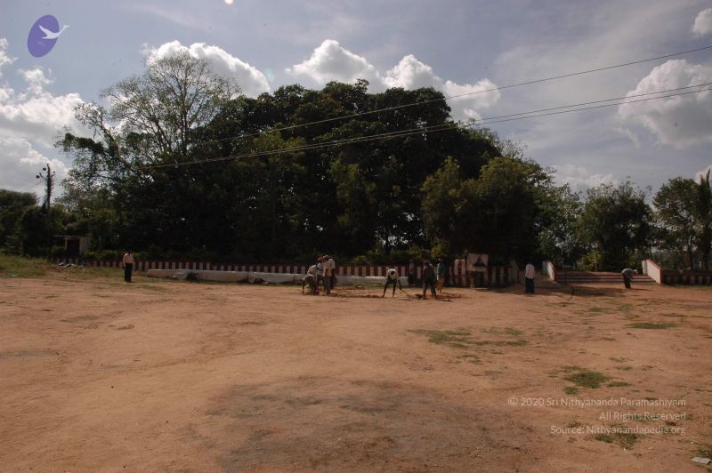 File:20061024 Photo 1065 1BfvsFgHlrdA8 6XsRhpBfEYj-QSFYKW9.JPG