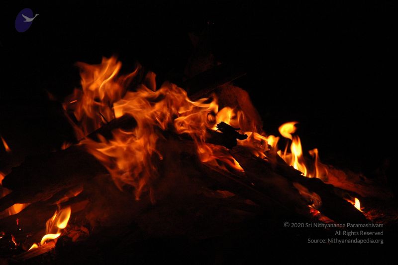 File:20061024 Photo 1089 16z9BZ8CtnQR sTPLzEQnMPq XnYLDjBY.JPG