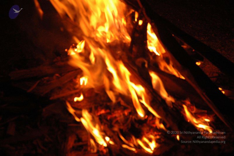 File:20061024 Photo 1 1F9bK1hfAIHE6-hXUMU7ML-EHslvo1RzE.jpg