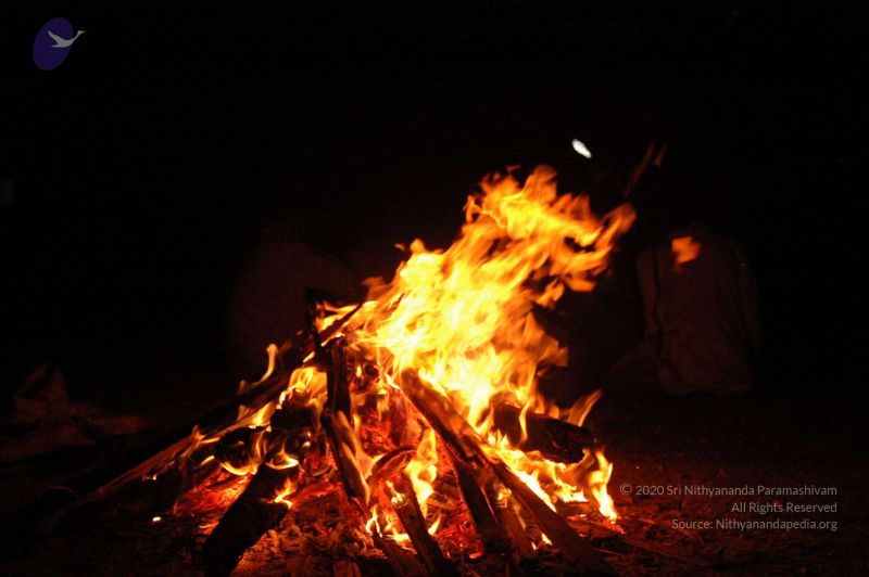 File:20061024 Photo 37 17qmRCaTfp 4flpSTU4gqJTfGviOCZDxj.jpg