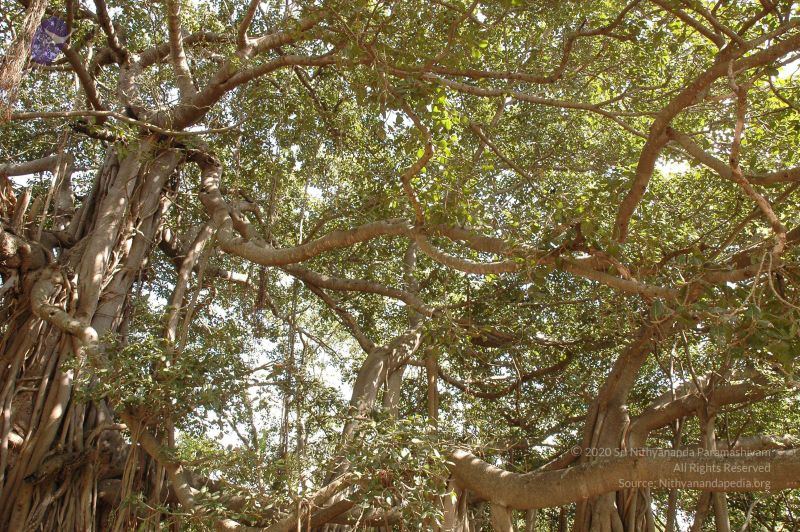 File:20061024 Photo 77 1xp4O1JOfl QwYPAOSsximo8WMnEJMeKq.jpg