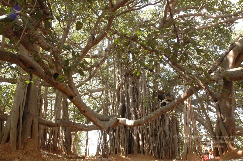 File:20061024 Photo 90 1WU7wSBCp4fWXhhCttssjVVoRijqTPWa8.jpg