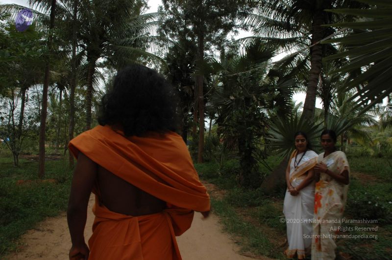 File:20061025 Photo 1063 1Nm4queeIRN9rRT3R-RV0AYT6yL DpDl6.JPG