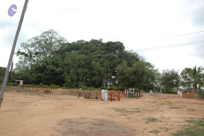 20061025 Photo 53 1KHY I-MbpZhsLxxb3PEXFDlC1NLu67Ad.jpg