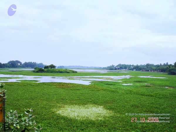 20061026th-27th Kodikannyatra Photo 118 1fEqfvXBxb7HsnN01R2vB0r9 eG5vcb6a.jpg