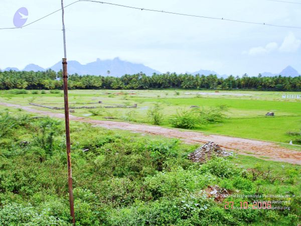 20061026th-27th Kodikannyatra Photo 144 1KNAM2qqS6 BMb4hZmcrRWCwkLB4cxcrk.jpg