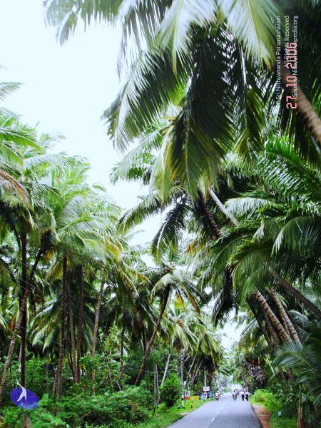 File:20061026th-27th Kodikannyatra Photo 150 1R4ibd8FahRjPyS IhNzUqp-RO0AtxDAt.jpg