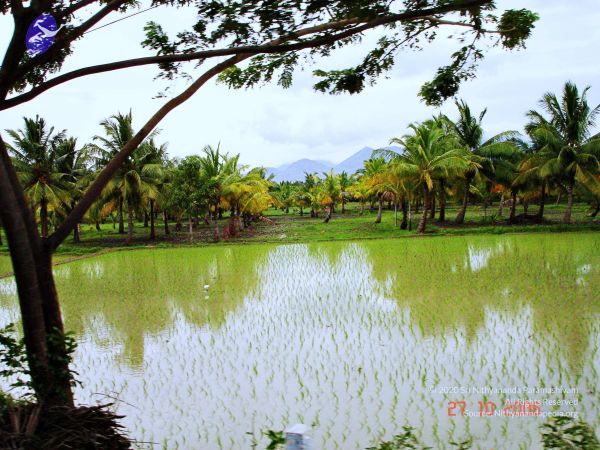 20061026th-27th Kodikannyatra Photo 153 1S76hZ865IC4ApVzhWjVKL On-WSdSmL6.jpg