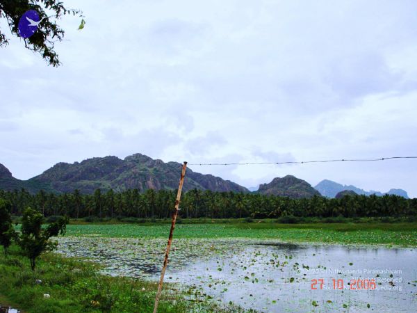 20061026th-27th Kodikannyatra Photo 162 1lg0KgDmRpNHlB8KnX4FTZ8ThnkejgWtJ.jpg