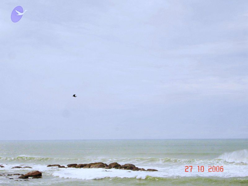 File:20061026th-27th Kodikannyatra Photo 194 1nyggNZftI3LPdfEXzp3h5DUuQ4fzj3Yr.jpg