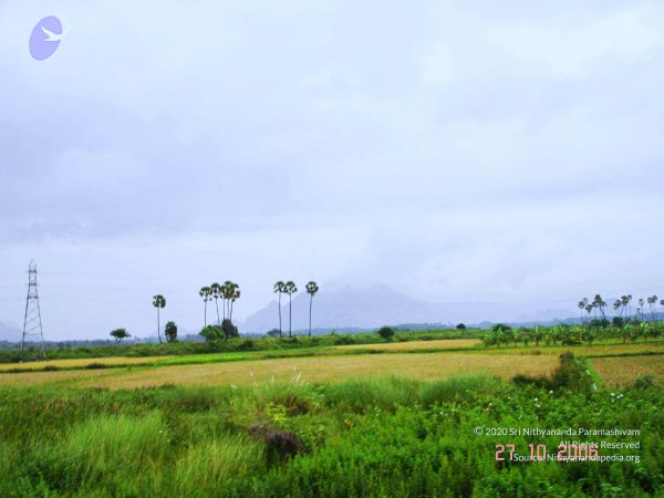 20061026th-27th Kodikannyatra Photo 86 1ANVDzmdpQUBhViKhhznDWsek0UoqN5YK.jpg