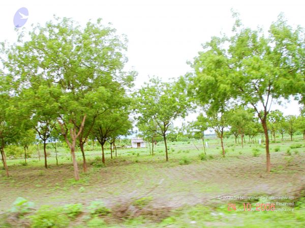 200610 Kodikannyatra Photo 325 1CCE7dpUfCdT8ssqu6VMJgXsbIVmr2cO9.jpg