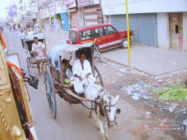 200610 Madhurai KodikannYatra Photo 218 1mafQgBXm 35d-mBcxdpbVmDNN-xw8QkE.jpg