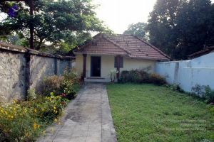 20061109 DSC 0067 CMP WM.jpg