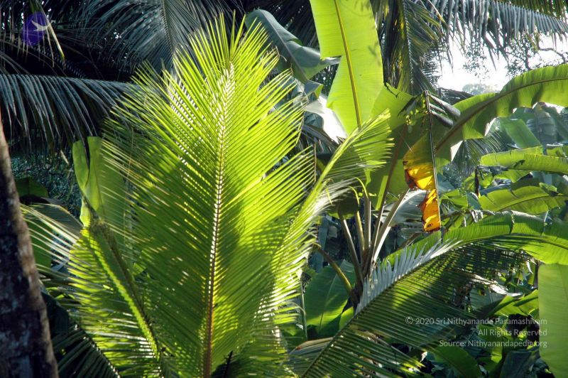 File:20061109 DSC 9984 CMP WM 33.jpg