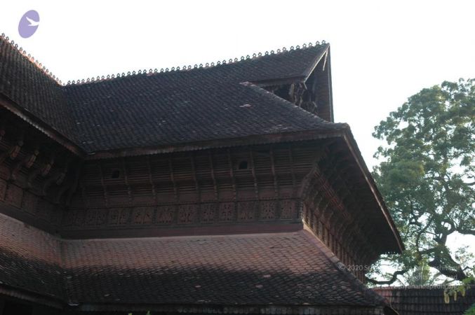 20061109 Photo 1016 1JC0zrjTX9QCrI-U6S-yMhTLbWnjX8gdA.JPG