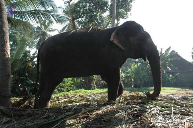 20061109 Photo 1058 1If0u2G07EbBspFZlT5Y2ACJrsu-Nn7-z.JPG