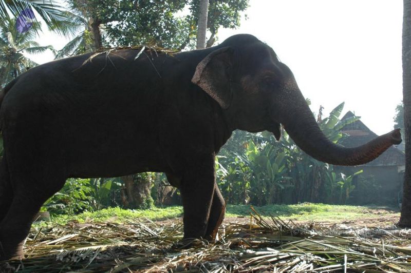 File:20061109 Photo 1060 19x4vGV-QIuNQgDbCM9qmRh5B825sdxa2.JPG