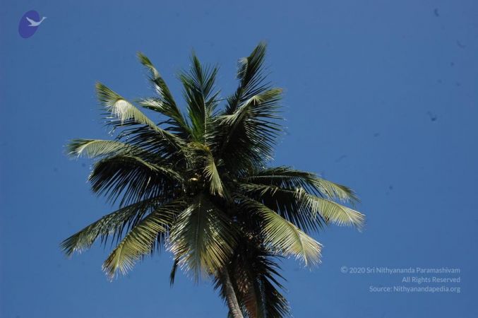 20061109 Photo 1109 1awL6GLB0aYPa0ERqDAVJPLm-fk6CM6Km.JPG