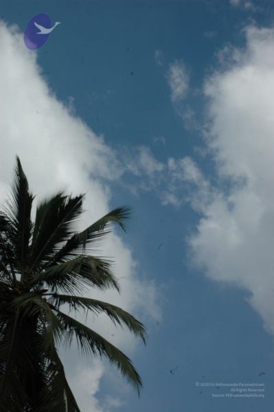 File:20061109 Photo 1151 1KDR4cYmWfNH5fJYrvItMPNEUTsp86Yy8.JPG