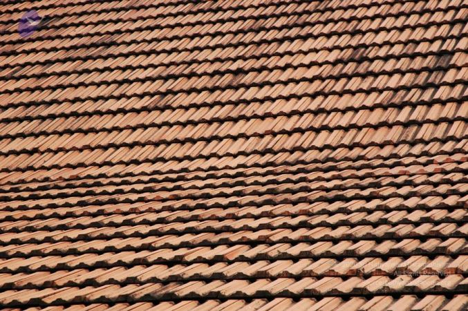 20061109 Photo 1154 1GSfXpYrSQZIJNBL4rNclZ80Ji Gw352v.JPG