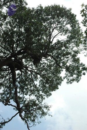 20061109 Photo 1182 1WMbBIKmFDZmyq4qDIkkZX5Dj66eahvQS.JPG