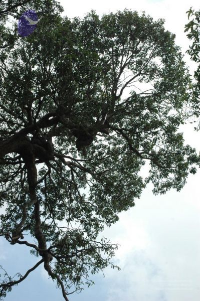 File:20061109 Photo 1182 1WMbBIKmFDZmyq4qDIkkZX5Dj66eahvQS.JPG