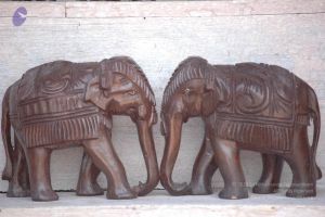 20061109 Photo 1241 1HcR2PhVqZ0n70p3wzddit5tiBrVCw4 U.JPG