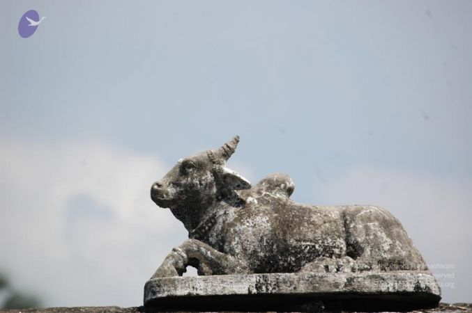 20061109 Photo 1245 1e8Ks39wVSabR0Chz1FnRywMAkz9G3bI2.JPG