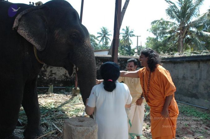 20061109 Photo 1379 1ptnNq0MrmmAuZVBrYLJgRkAVn1JDuS2D.JPG