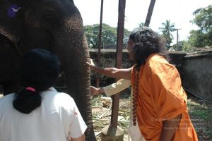 20061109 Photo 1382 1440ctJM0MSuLZJCucIK396D1jhCsD5bw.JPG