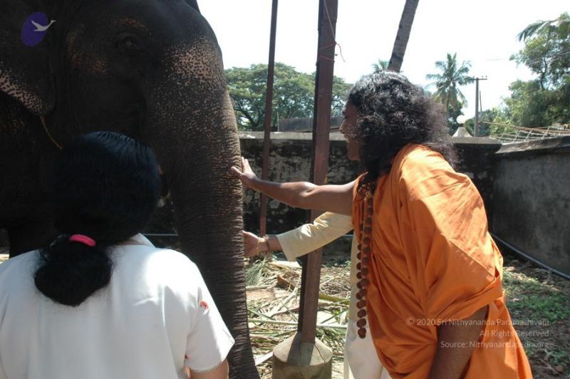 File:20061109 Photo 1382 1440ctJM0MSuLZJCucIK396D1jhCsD5bw.JPG