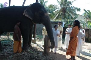 20061109 Photo 1397 1jUDBhQ0gWIf2R06Nl12t64R9 G C8r2j.JPG