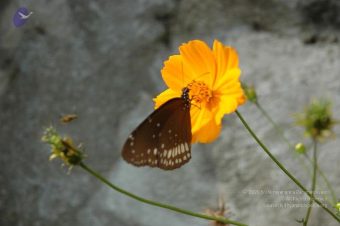 20061109 Photo 1612 1X790n0FIdEorXUPL9BA5PcH7 LvDBZr5.JPG