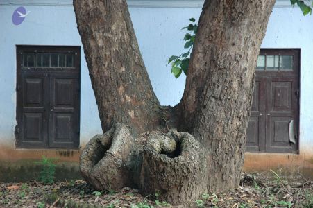 20061110 Photo 30 1UNTI4lK1uS8VPhjr9y1D3CcJFqGDg4KB.jpg