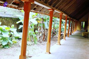 20061110 Photo 633 1vhIdBokPVn2KgosWvo7lxy9IRJuyvopB.jpg