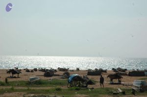 20061110 Photo 67 1BvKc3NcGa2l2ugPj lG06g4eKOzhRRV1.jpg