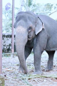 20061110 Photo 697 1dhsO7hXKnmFSCgLMbvn1A Yui f1SbtE.jpg