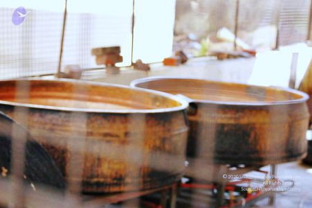 20061110 Photo 753 1LCP0YbOsiwVvBWWLv1wGJ0faIYihze7u.jpg