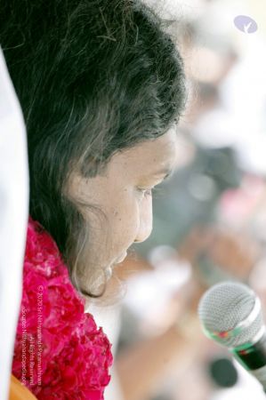 20061113 DSC 7372 CMP WM 11.jpg