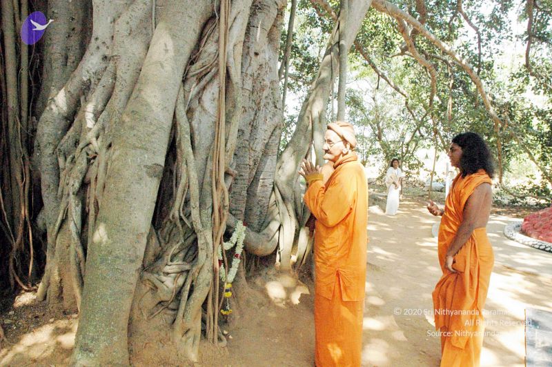 File:20061121 DSC 3074 CMP WM 11.jpg