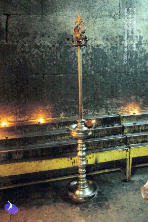 20061123 DSC 5261 CMP WM01.jpg